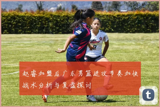 赵睿加盟后广东男篮进攻节奏加快战术分析与复盘探讨